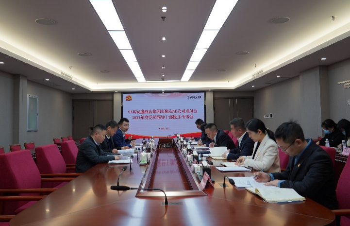 k1体育集团党委书记、、、董事长任丁出席逍遥旅馆集团2022年度党员向导干部民主生涯会