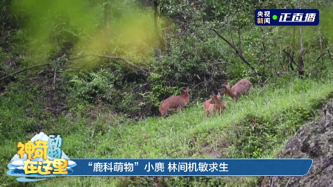 0e9e37f5-e819-457c-9c3d-1bd134bf113b