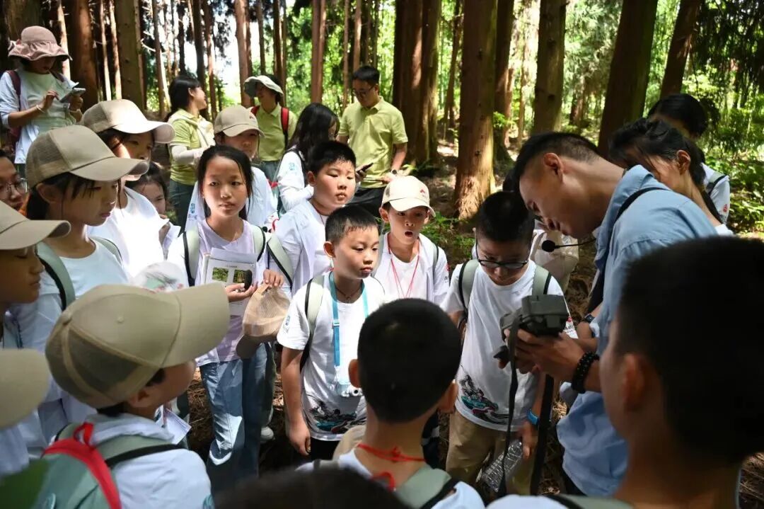 9898a5f2-a095-41df-be46-98267f98f7cc