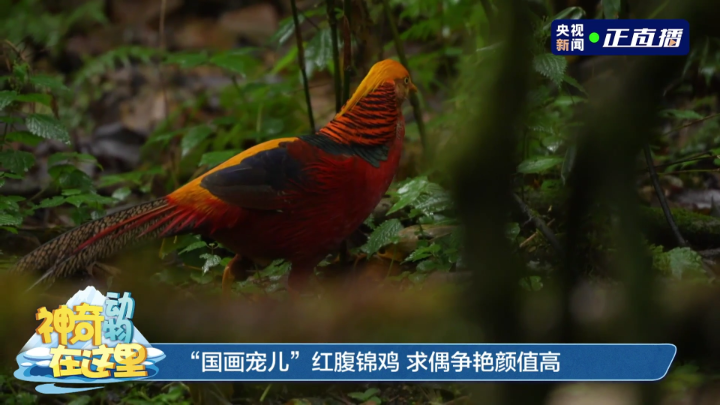 c809bb46-c0ab-477e-87e7-915b65e29ca8